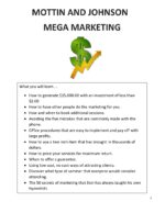 Mega Marketing